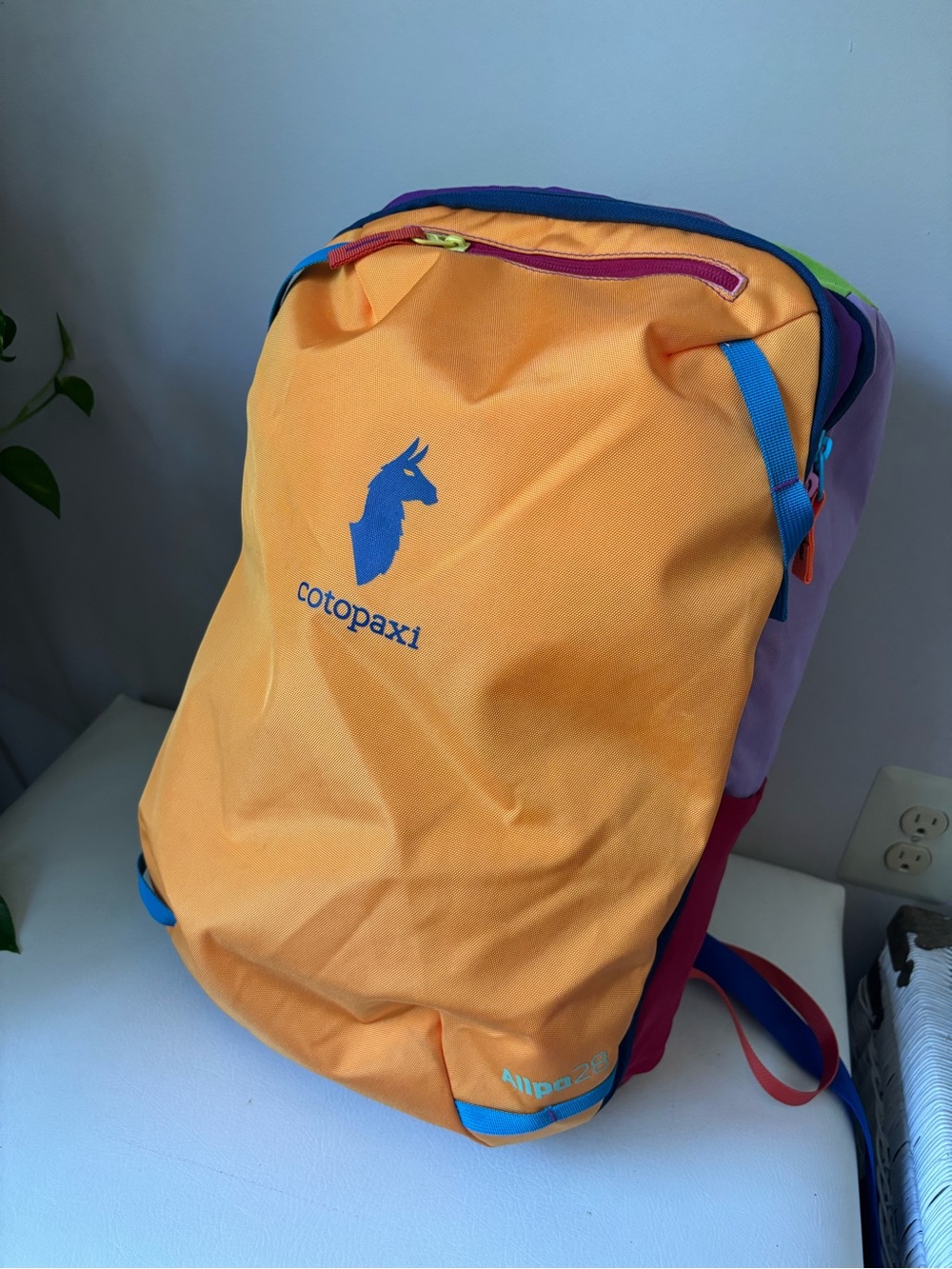 cotopaxi 28 Backpack